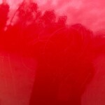 撮影者が写るほど艶復活