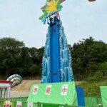 太陽を浴びてキラキラ